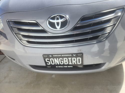 Customer photo review of Songbird B&W Vanity License Plate