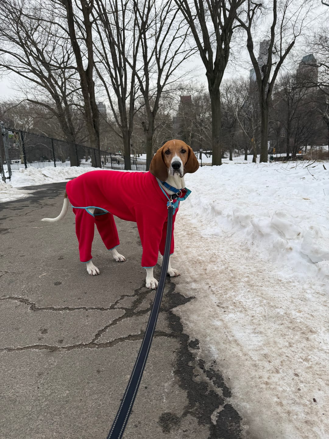 Customer photo review of NEW Fleece Pull-Over
