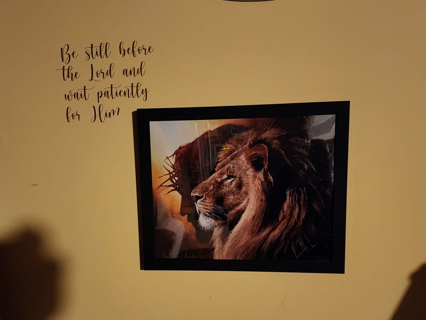 Customer photo review of The Lion of Judah