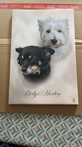 Customer photo review of Aquarell Pawtrait