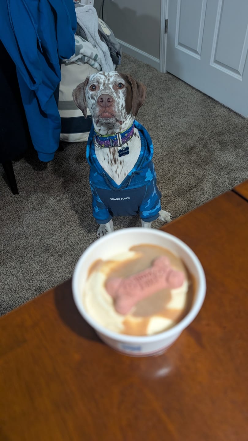Customer photo review of Blue Camo Dog Hoodie