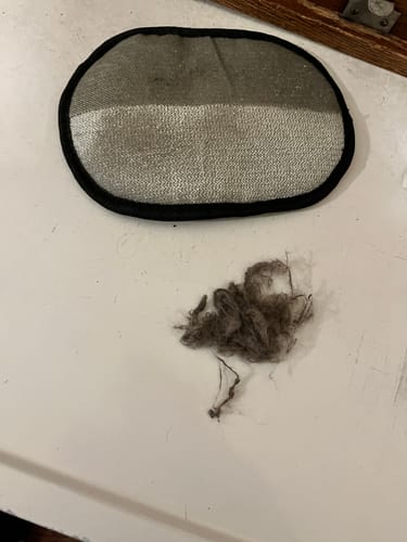 Hair Removal from Furniture