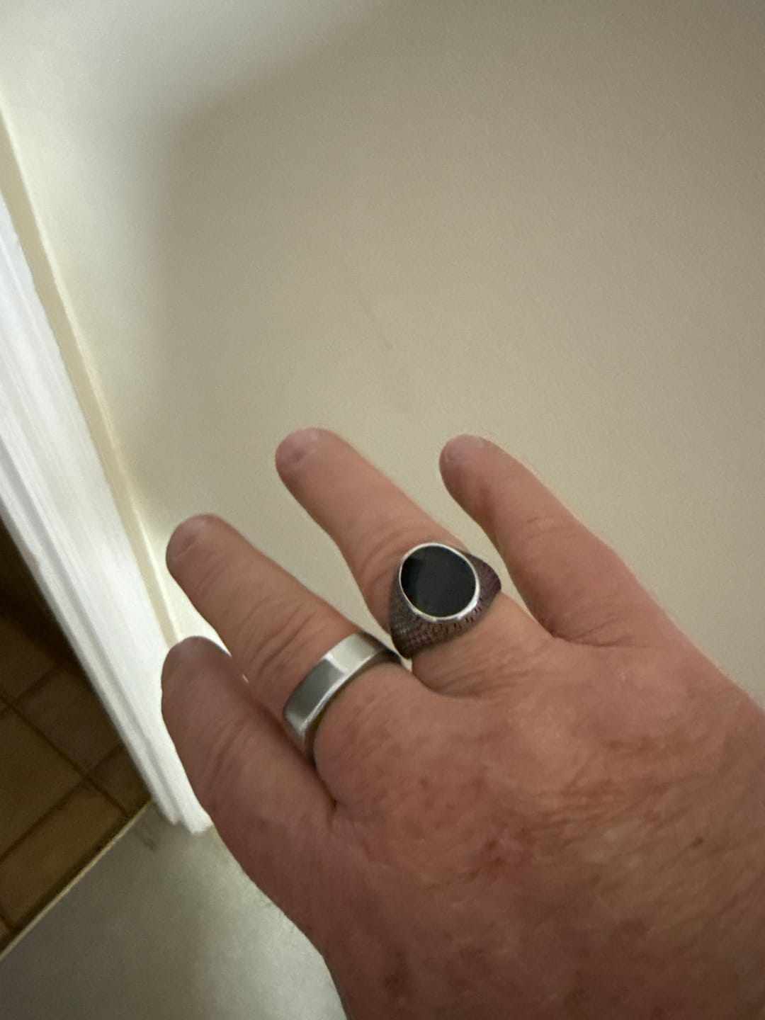 Customer photo review of TRAVELER.