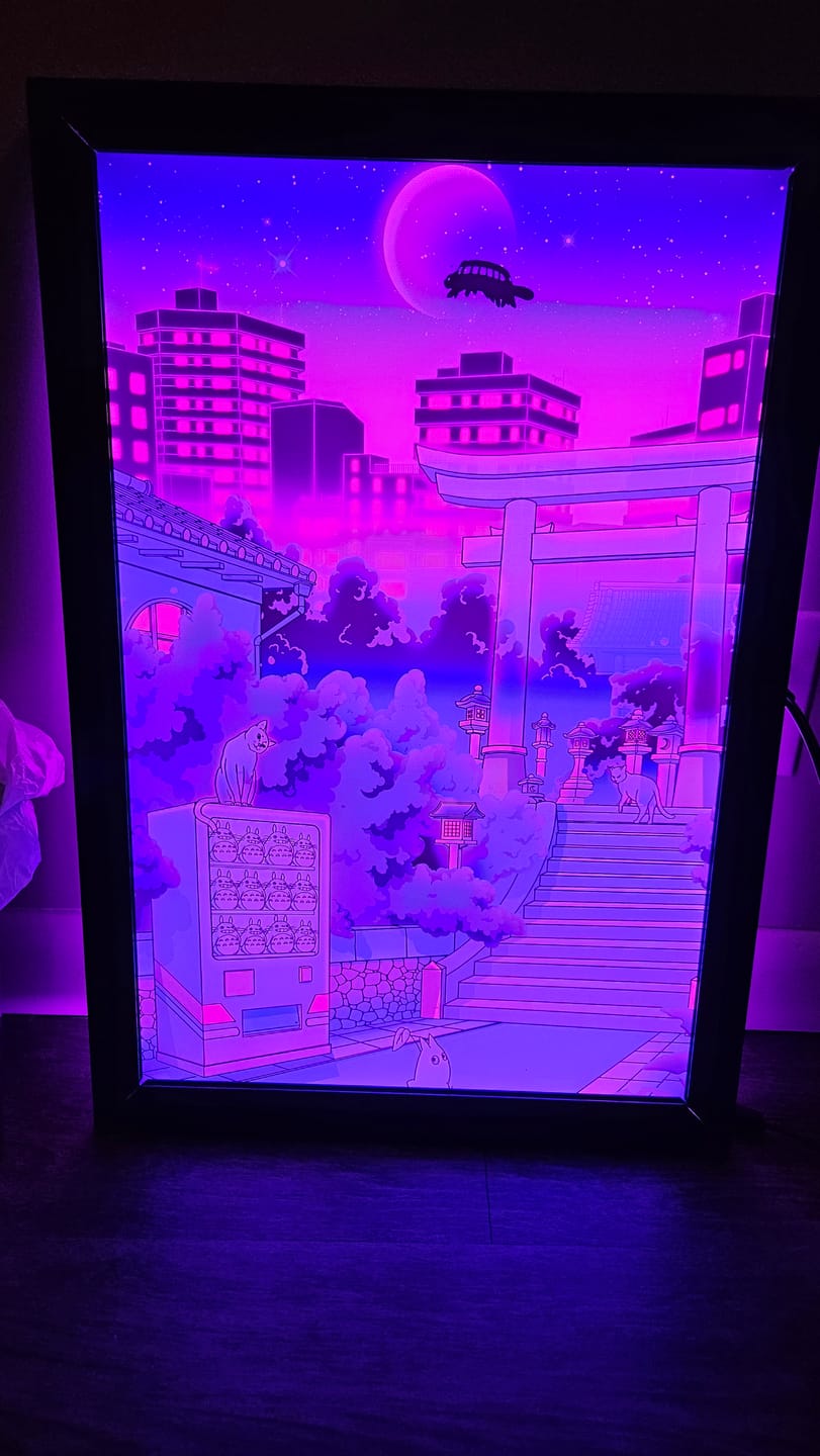 Customer photo review of Lightbox Frame (16x24 in)