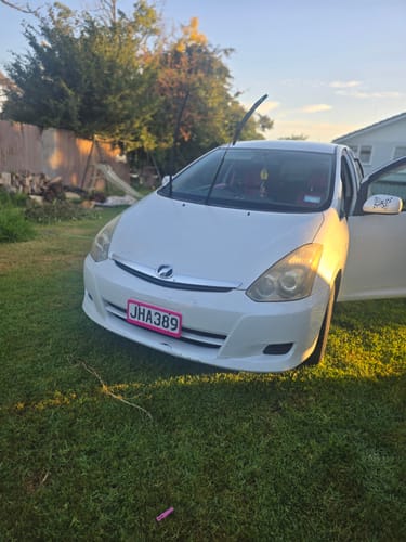 Customer photo review of Standard Plate Frames