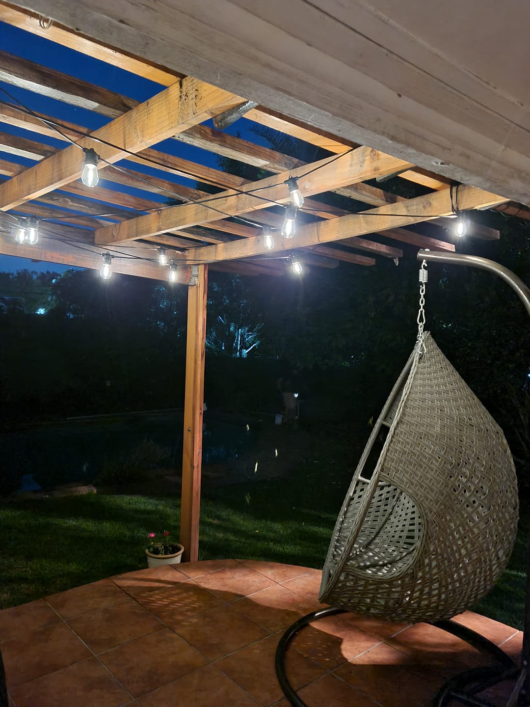 Customer photo review of Solar Festoon Bulb String Lights