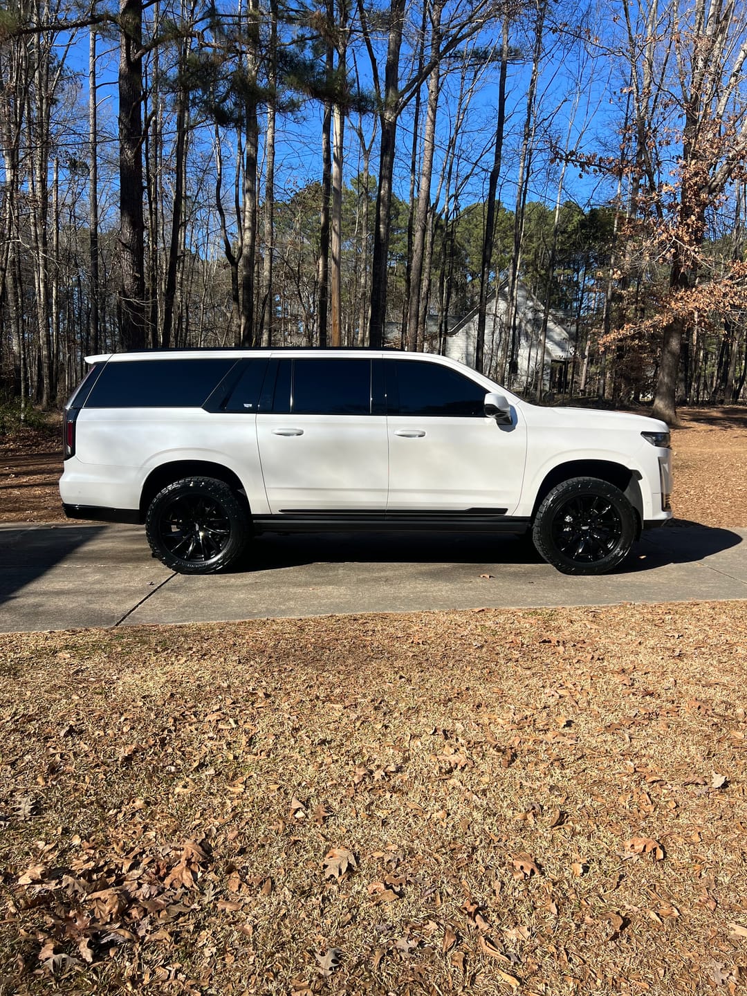 Customer photo review of Throttle - 16oz. w/ Black Sprayer
