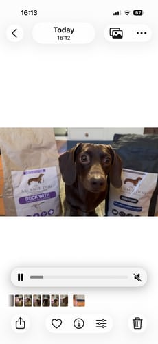 Customer photo review of Superfood Light & Senior Free Range Turkey with Parsley, Papaya, Nettle, Zucchini & Pumpkin (Small Kibble)