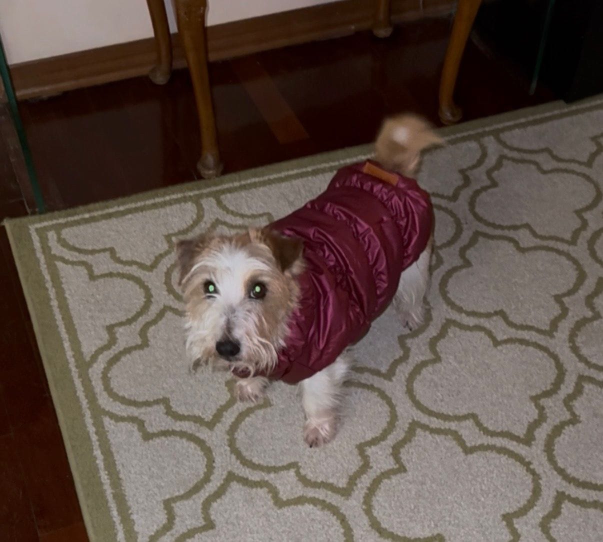 Customer photo review of Sweet Bomber