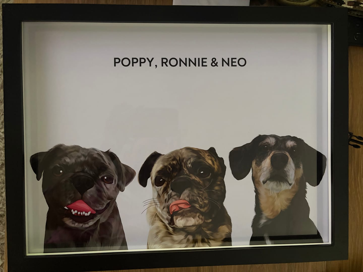 Customer photo review of 3 Pets