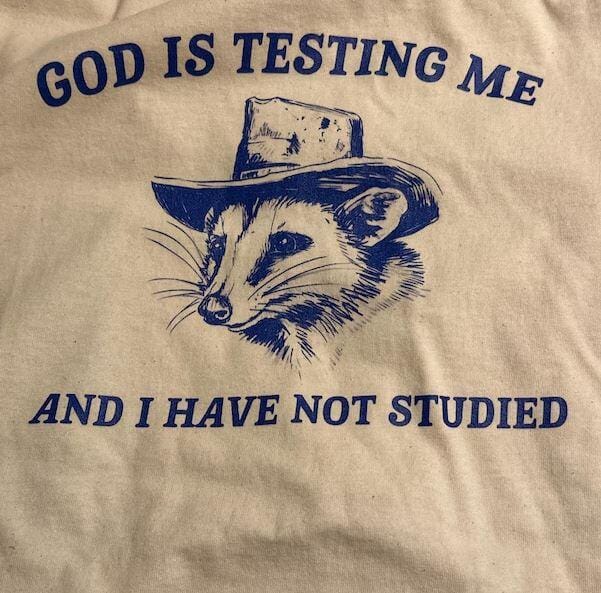 Customer photo review of God Is Testing Me And I Have Not Studied Possum T-Shirt