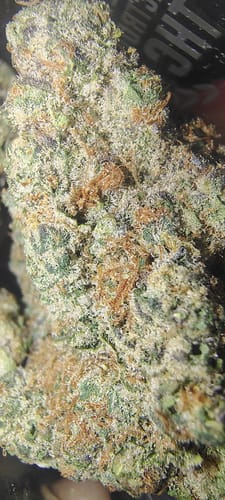 Customer photo review of Gold Spectrum THCA Flower (Connoisseur) - Forbidden Gusher