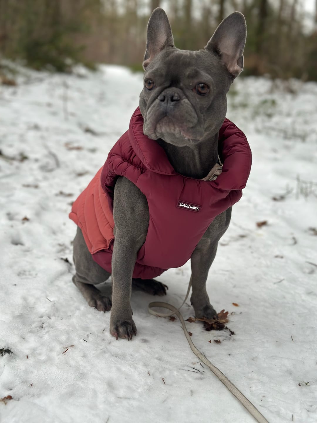 Customer photo review of PuffShield Winter Jackets