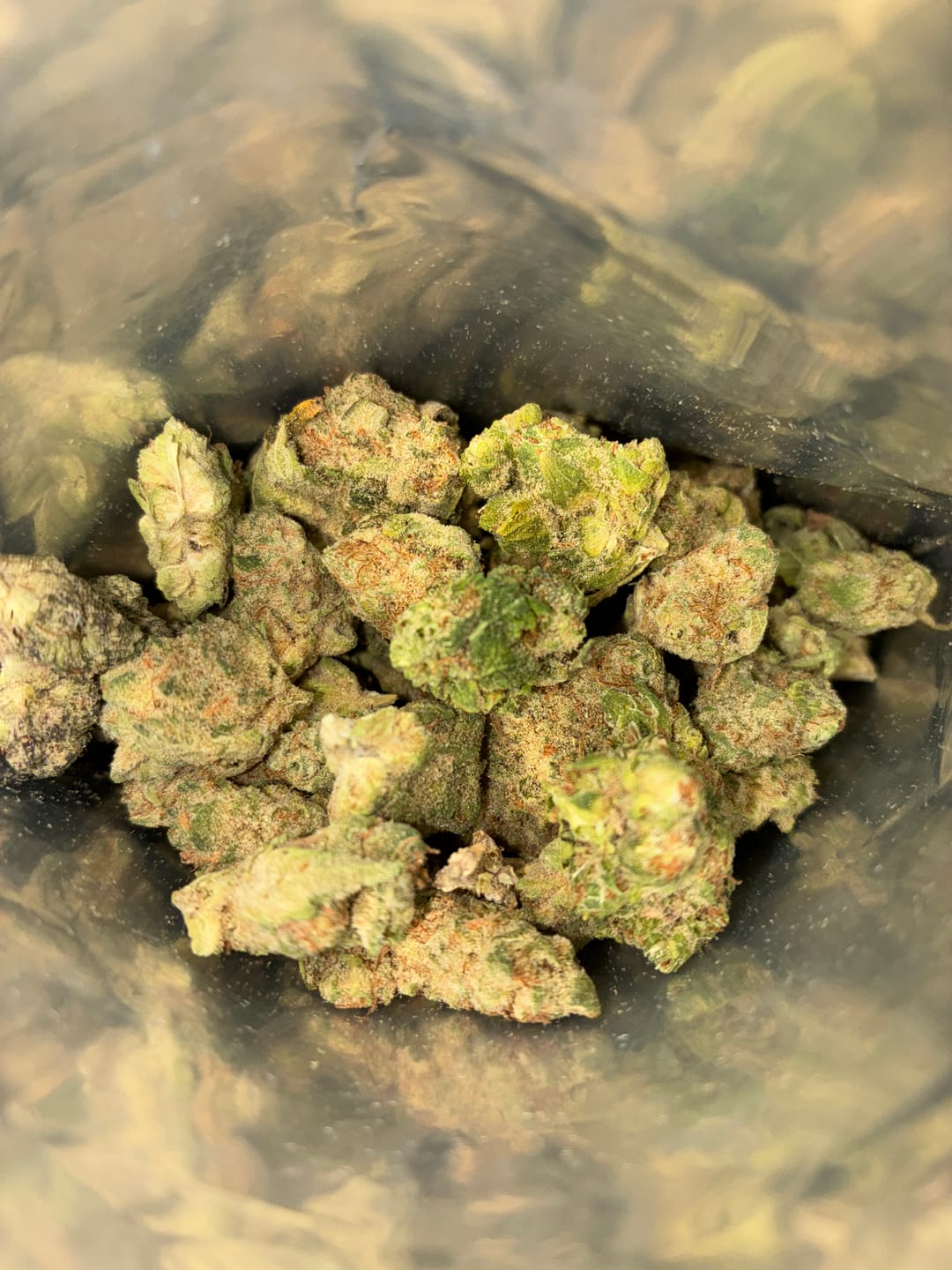 Customer photo review of Durban Poison THCA Flower
