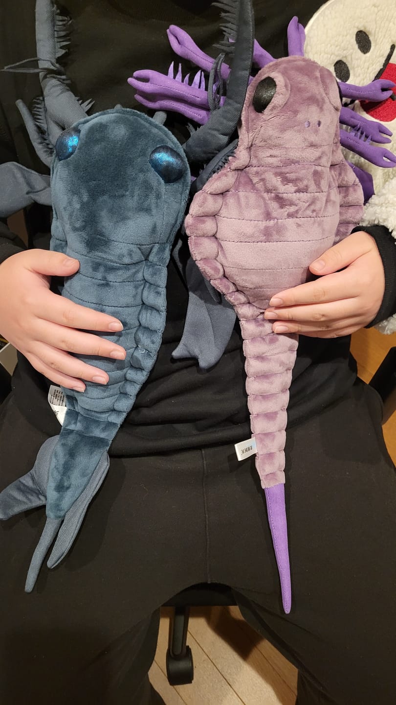 Customer photo review of Carcinosoma Soft Stuffed Plush Toy