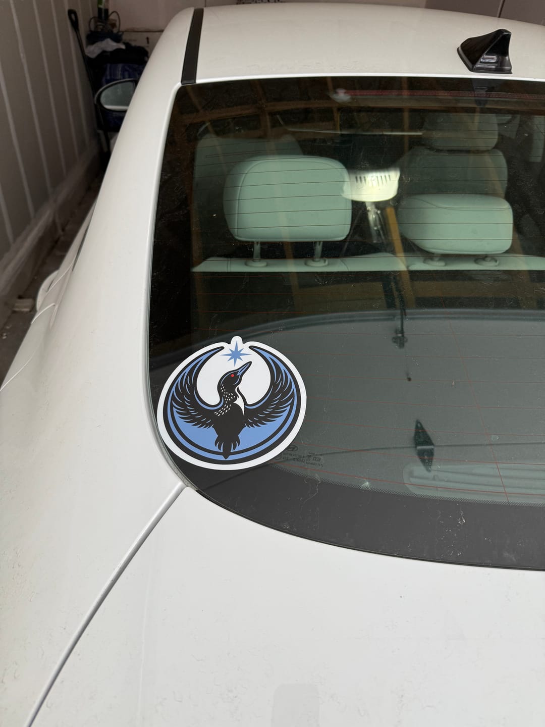 Customer photo review of Large Rebel Loon Vehicle Decal Sticker