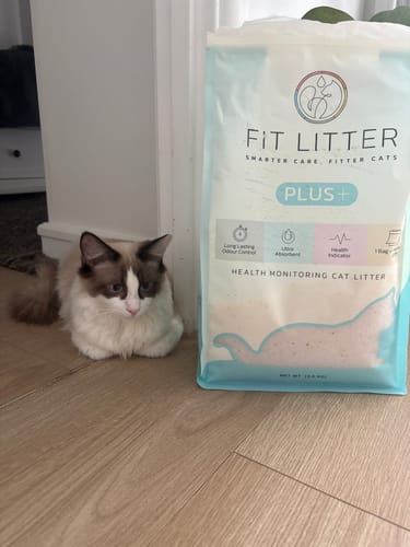 Customer photo review of Fit Litter PLUS - 3 month supply - 2 cat
