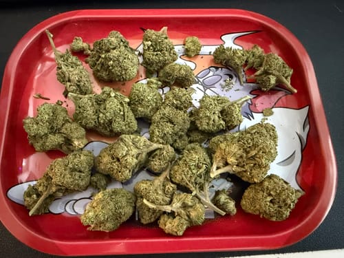 Customer photo review of Bubba Candy - 28 Grams - Indica