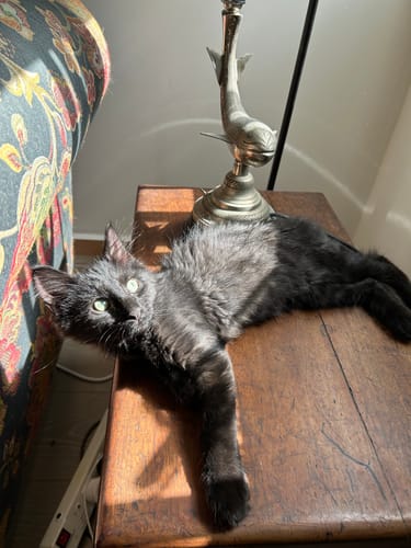 Customer photo review of One-Time Purchase