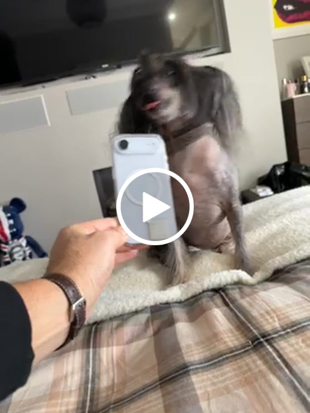 Customer video review of BioChips