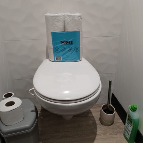 Photo d'un client montrant un paquet de papier toilette compact Popee posé sur des toilettes.
