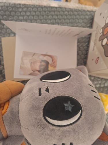 Close-up of the customer's grey DA-GO-NYANG plush, with the photocard and letter from the set displayed in the background.