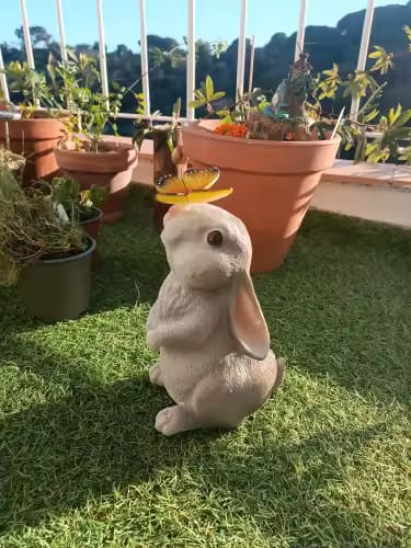 Customer photo review of Solar Bunny Garden Statue – LED Butterfly Resin Decor
