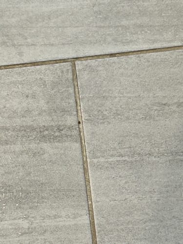 Customer's close-up of grey tile with dark, dirty grout before using the Pristine Shower Bundle.
