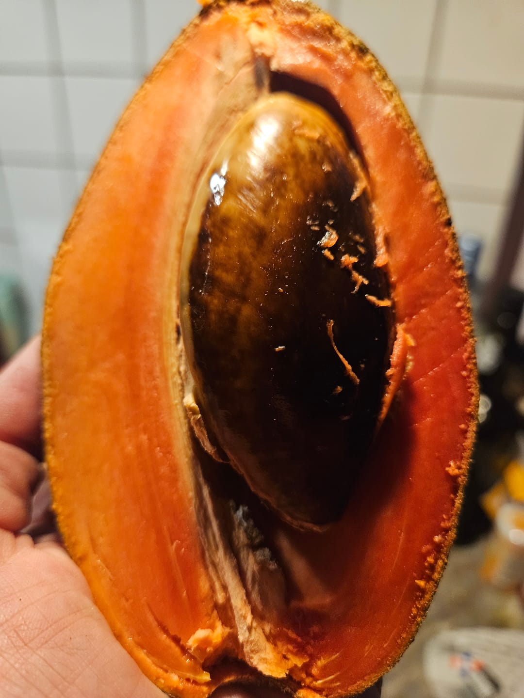 Customer photo review of Sapote Purple (Zapote Morado)