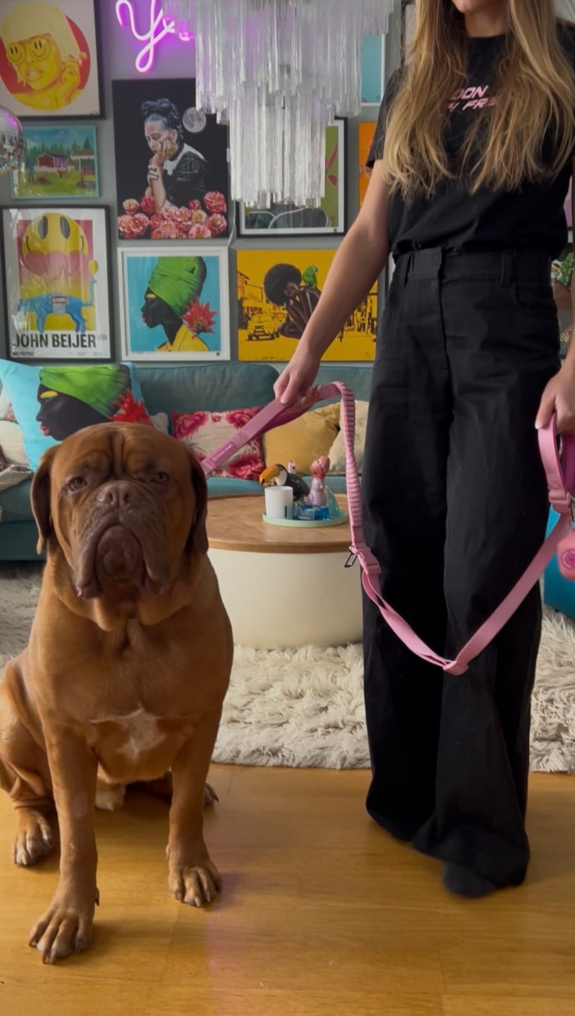 Customer photo review of Leash and Poop Bag Holder Set - Pink