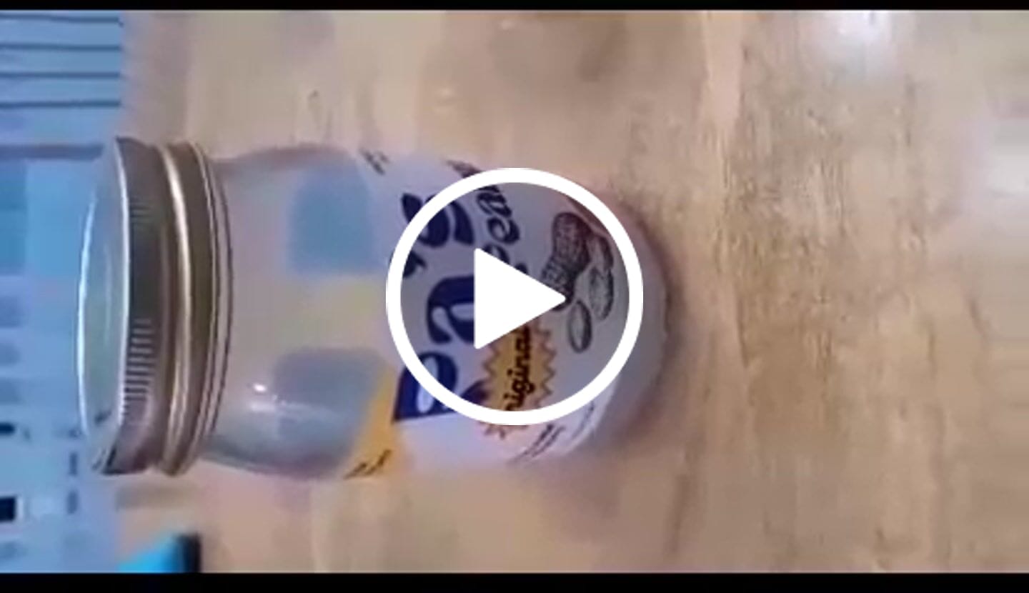 Customer video review of Pa's Peanuts