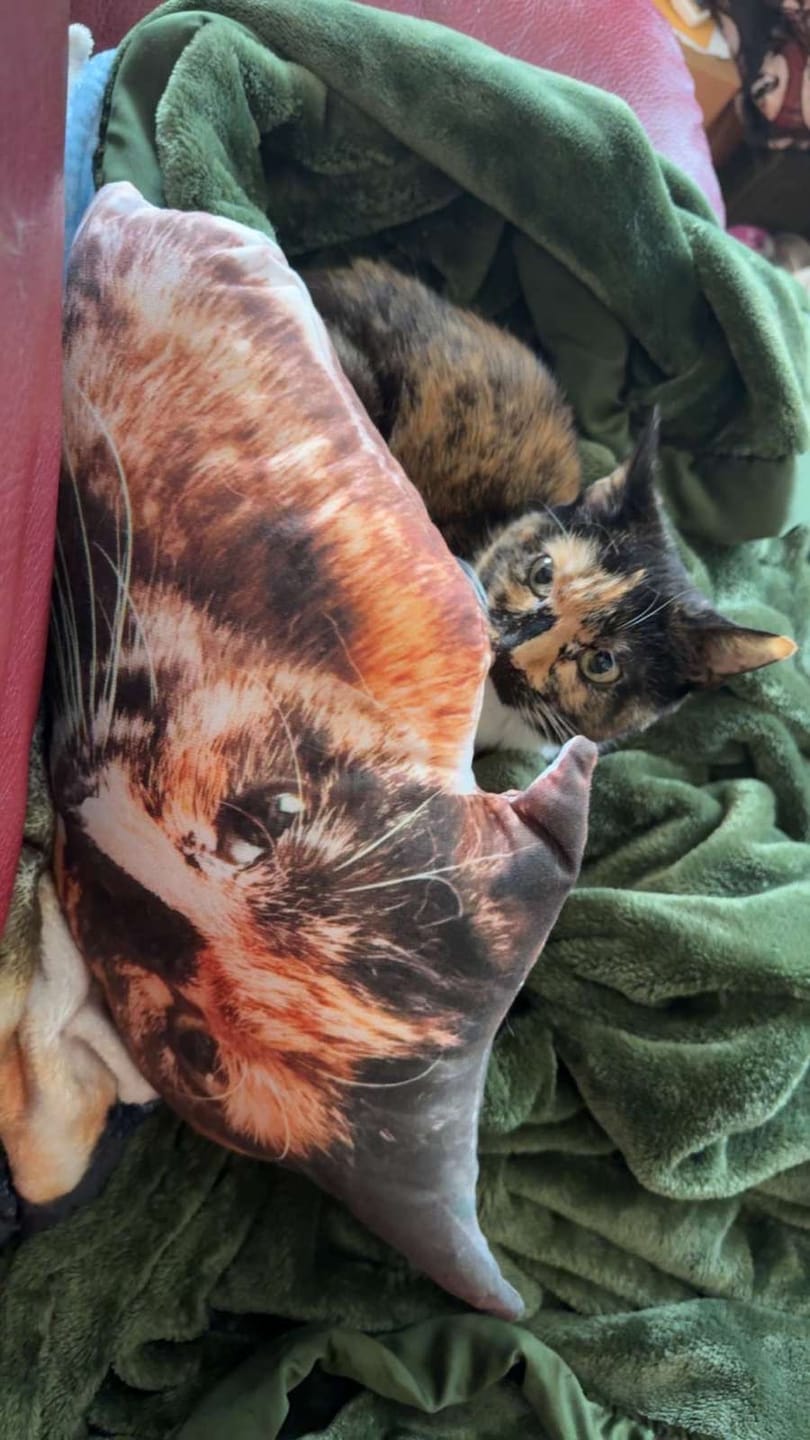 Customer photo review of Custom Pet Pillow