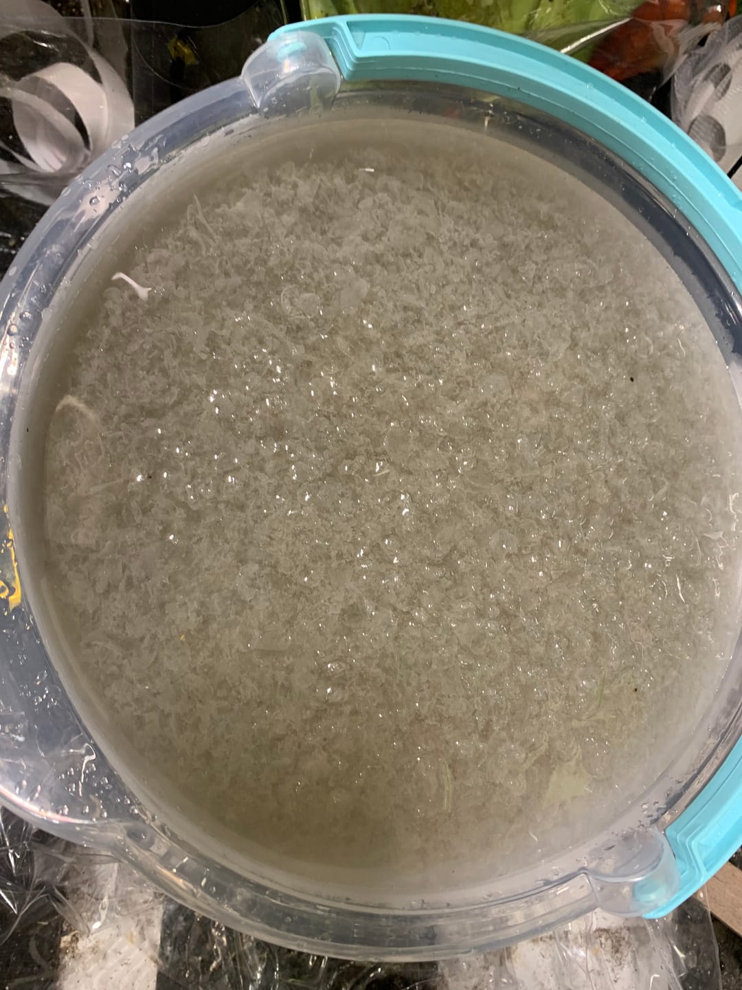 Customer photo review of Holidaygrow 175g