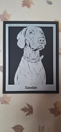 Customer photo review of Custom Pet Metal Portrait