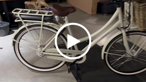 Customer video review of E-Cargo N3