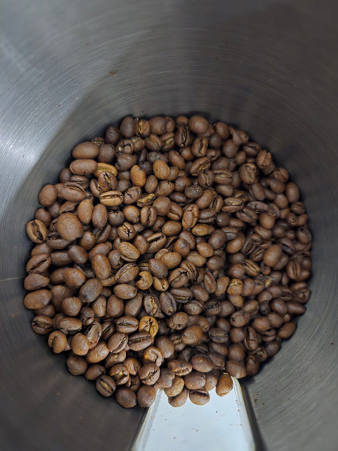 Customer photo review of Café Hacienda Doka Peaberry AA
