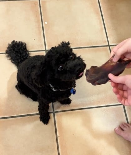 Customer photo review of Roo Jerky