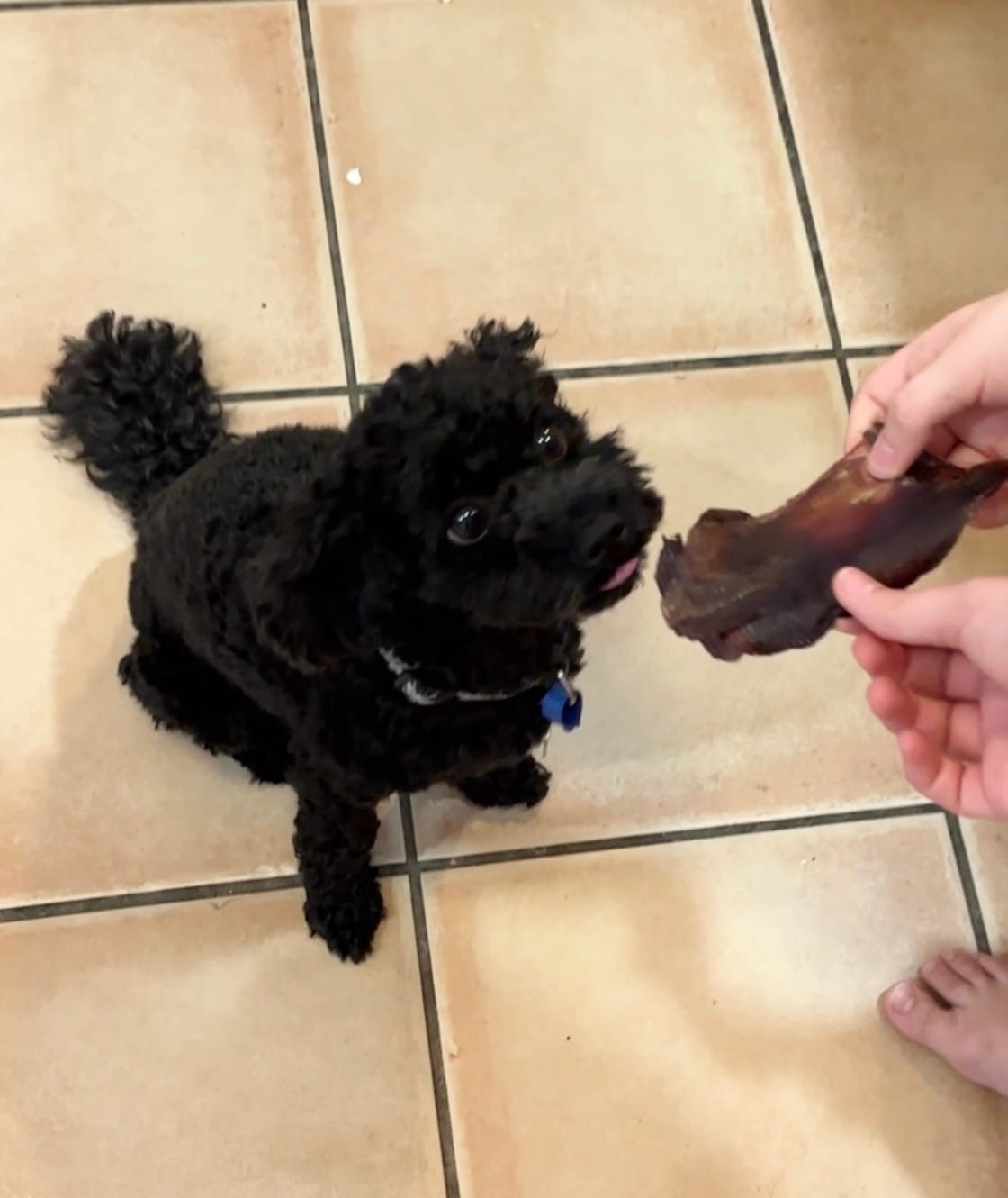 Customer photo review of Roo Jerky