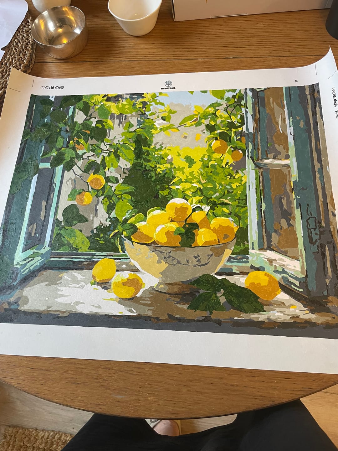Customer photo review of Lemon Bowl at the Window | Paint by Number