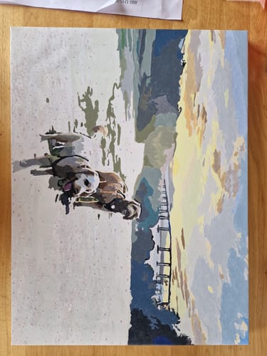 Customer photo review of Custom Paint by Numbers