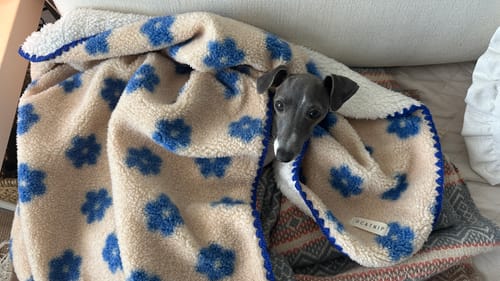 Customer photo review of Little Summer Blanket
