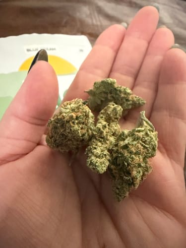 Customer photo review of Blue Dream