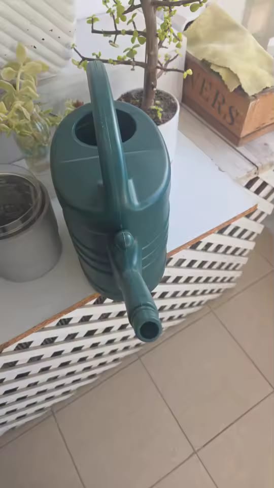 Customer photo review of Garden Watering Can 1.3 Gallon – Long Spout & Sprinkler Head