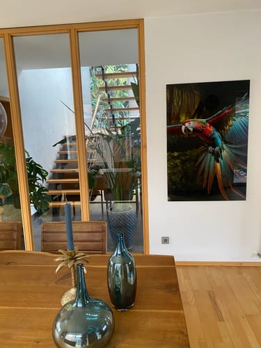Customer photo review of Acrylglasbild | Papagei im Flug | Hochformat