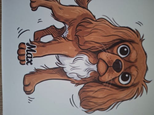 Customer photo review of Jouw Huisdier in Karikatuur Stijl als Tegel - Direct Voorbeeld