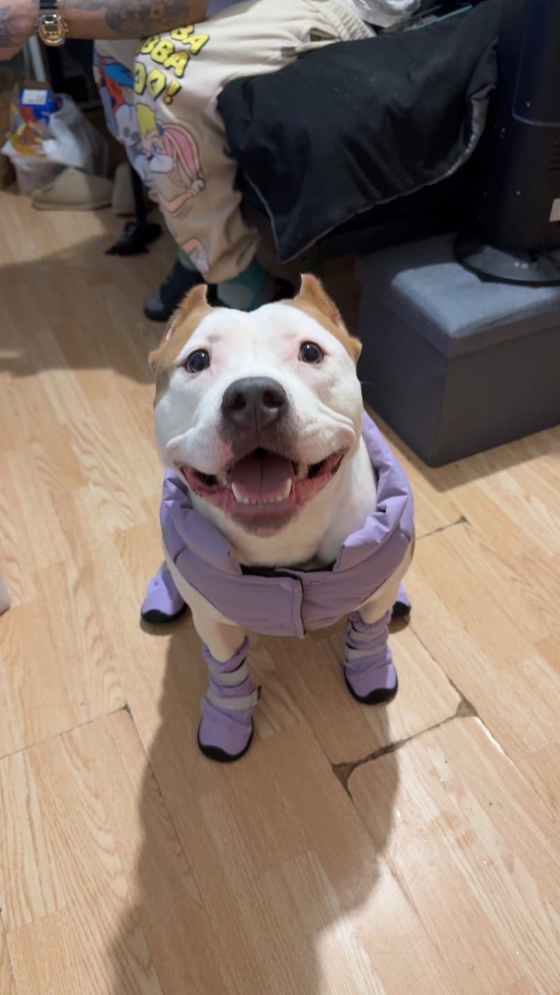 Customer photo review of WarmShield Water-Resistant Jacket - Lilac