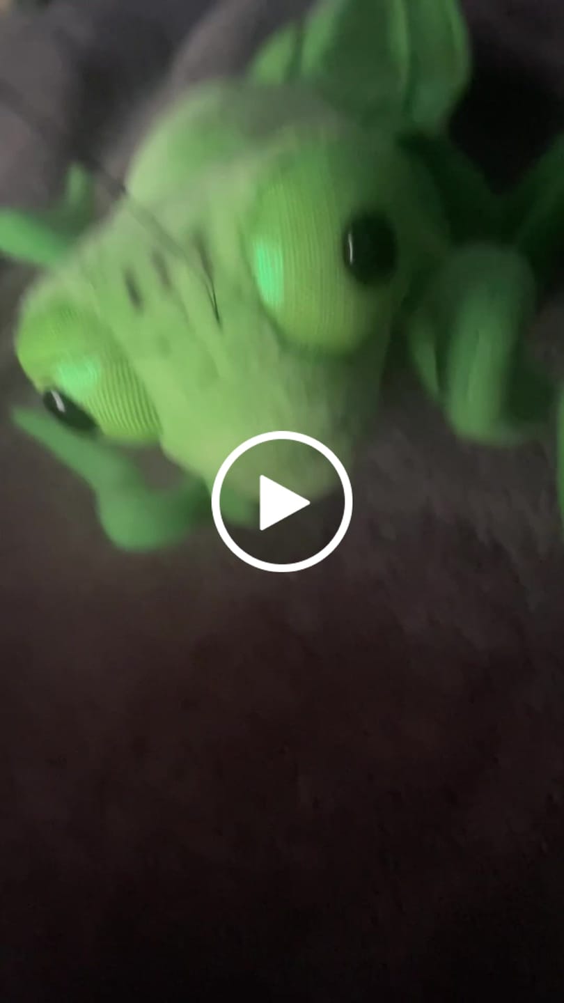 Customer video review of Green Chinese Mantis Soft Stuffed Plush Toy