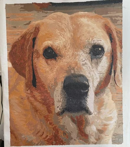 Customer photo review of Custom Pet Paint By Numbers