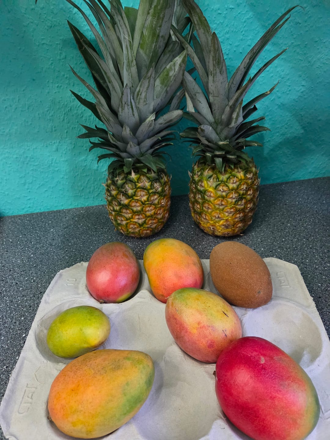Customer photo review of Mango-Träume Mix-Box 2kg Sonderaktion %