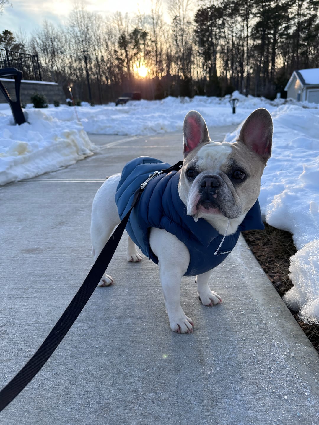 Customer photo review of PuffShield Winter Jackets